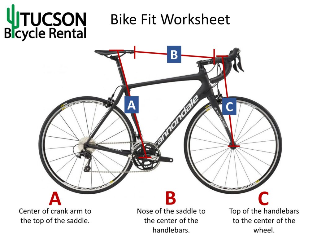 Bike fit. Dimension to Bike lot. Bicycle Rental.